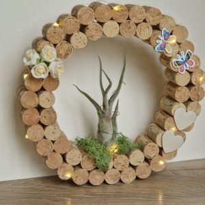Décoration ronde en liège - Tillandsia (plante aérienne)