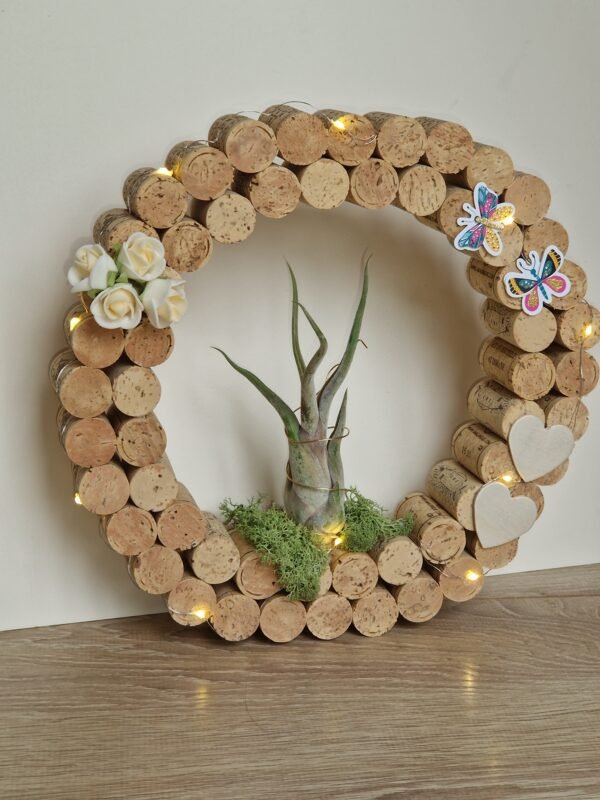 Décoration ronde en liège - Tillandsia (plante aérienne)