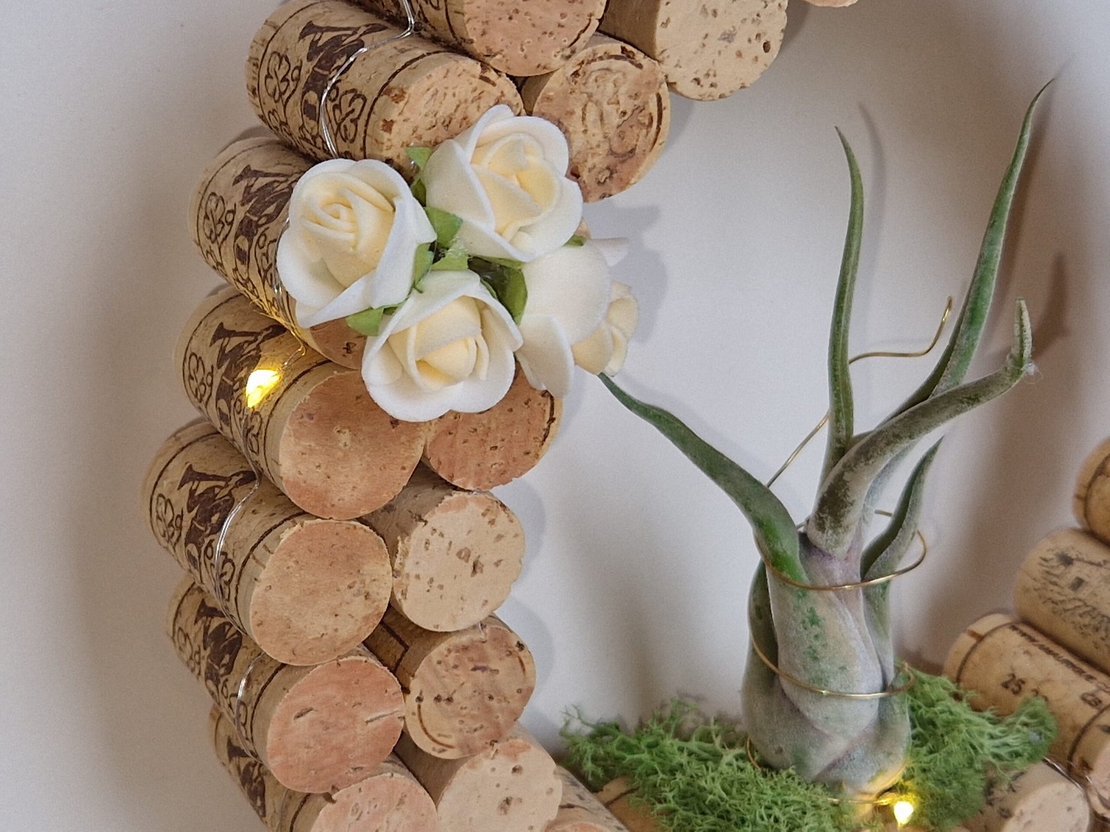 Décoration ronde en liège – Tillandsia (plante aérienne)