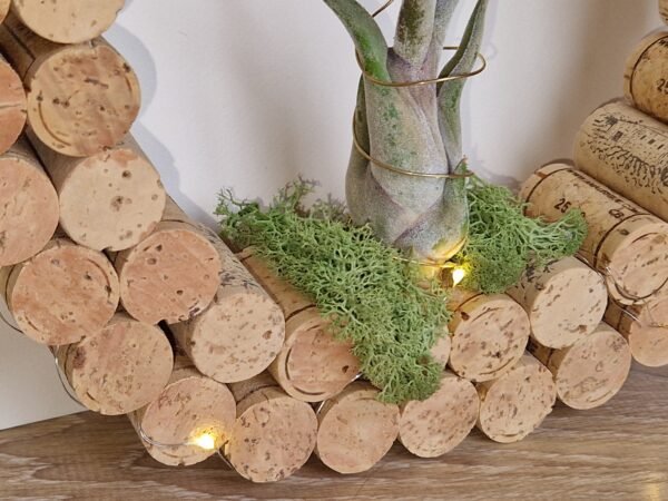 Décoration ronde en liège - Tillandsia (plante aérienne) – Image 3