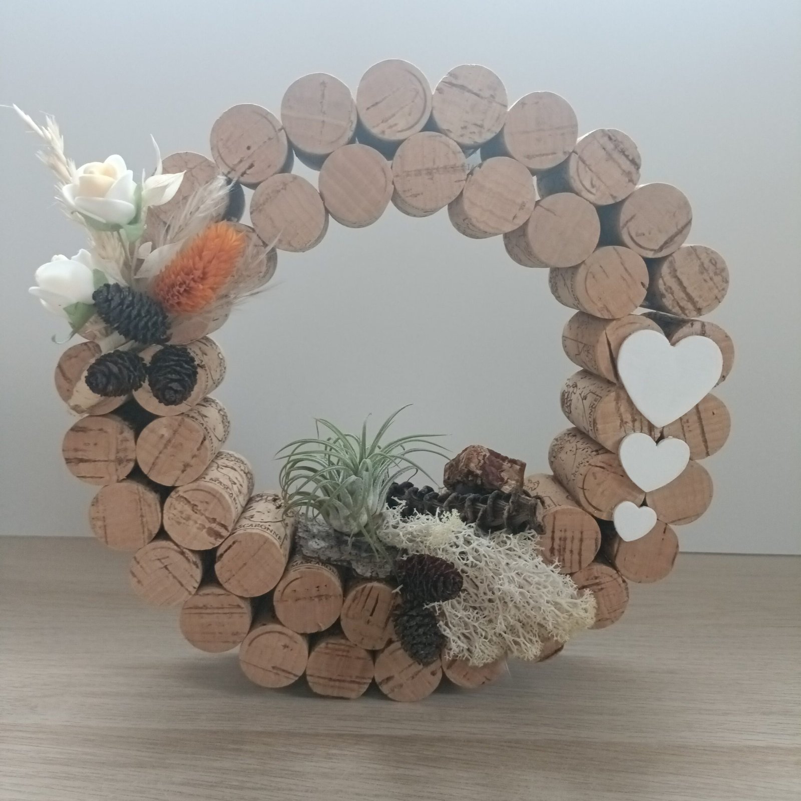 Cercle naturel avec plante aérienne