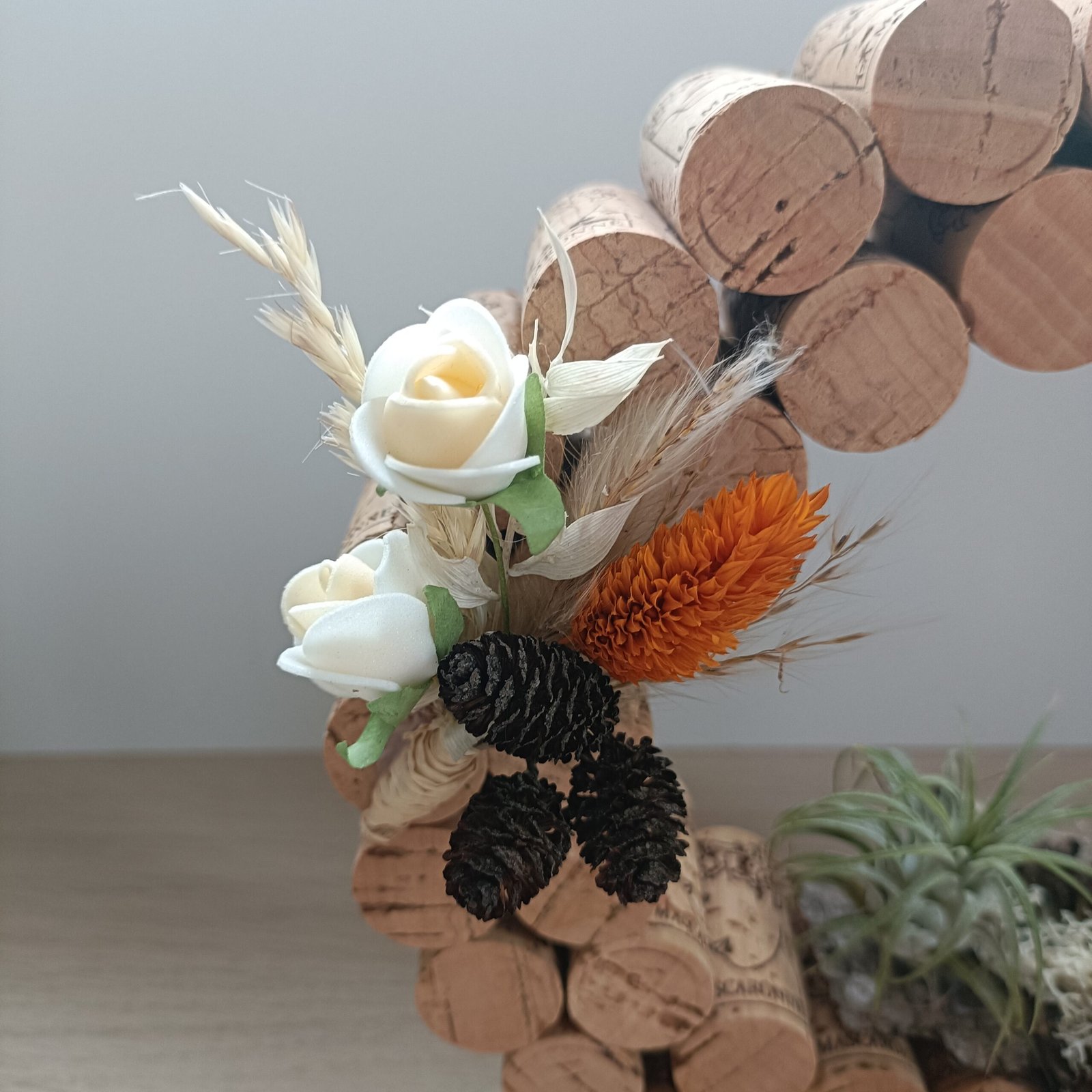 Cercle naturel avec plante aérienne – Image 3