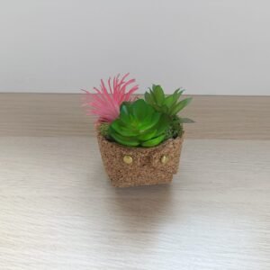 Pot en liège avec plantes