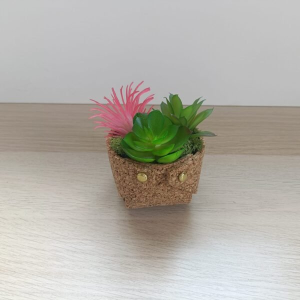 Pot en liège avec plantes