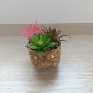 Pot en liège avec plantes