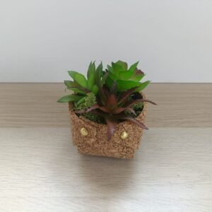 Pot en liège avec plantes