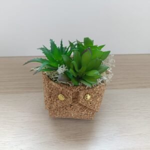 Pot en liège avec plante