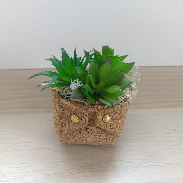 Pot en liège avec plante
